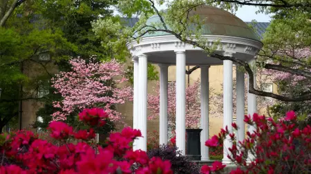 534 Tar Heels Named To 2025-26 ACC Academic Honor Roll