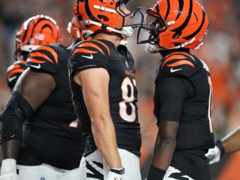 40-year-old journeyman QB Josh Johnson leads Bengals to 27-9 preseason victory over Bears