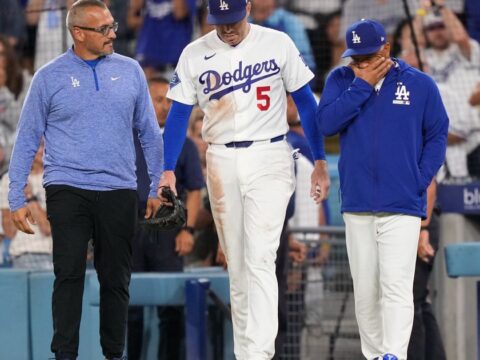 Dodgers' Freddie Freeman somehow avoids serious injury in frightening fall into visitors' dugout