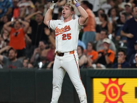 Does baseball need even more technology for plays like Pete Alonso's disputed fly ball?