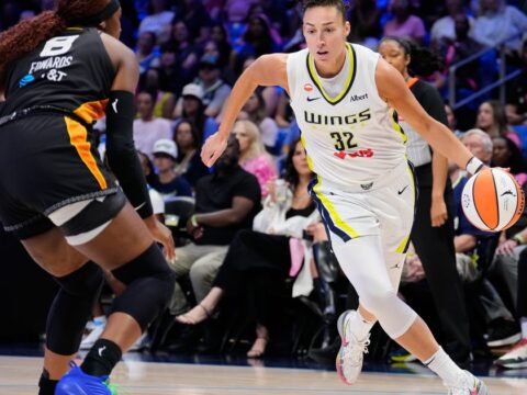 Shepard has 22nd double-double this season, Wings beat Sun 97-71