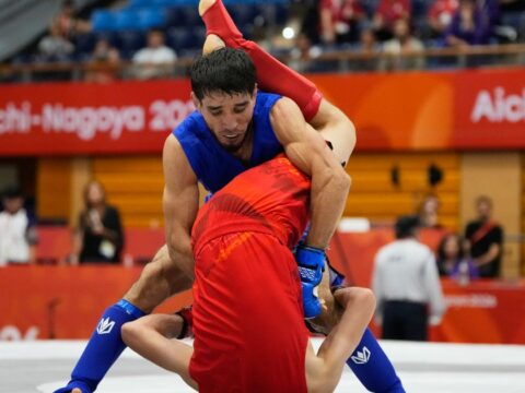 Mixed martial arts -- without the wire cage and the blood -- bids to make the Olympics