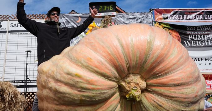 Giant pumpkins battle for heavyweight glory and the world record in California Giant pumpkins battle for heavyweight glory and the world record in California