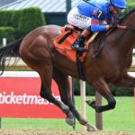 There are two horses named in memory of Johnny Gaudreau and they're running in the same race
