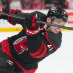 What role should Alexander Nikishin play once he returns to the Carolina Hurricanes?