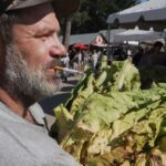 Whether `stringing' or `looping,' tobacco is the tie that binds many North Carolina farm families