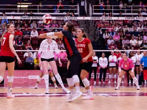 Wolfpack Steals a Set from #16 Stanford but Comes Up Short